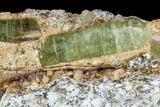 Lustrous, Yellow Apatite Crystals in Feldspar - Morocco #84327-3